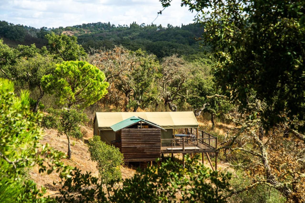 Monte da Estrada Figueirinha Ecoturismo 게스트하우스 외부 사진