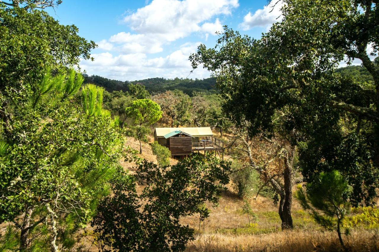 Monte da Estrada Figueirinha Ecoturismo 게스트하우스 외부 사진