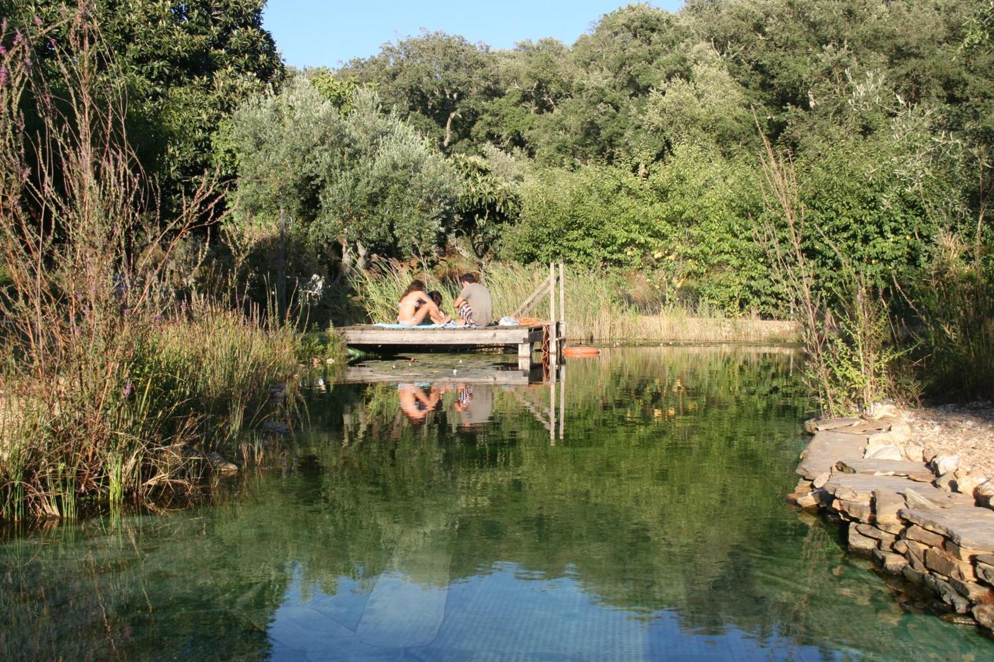 Monte da Estrada Figueirinha Ecoturismo 게스트하우스 외부 사진